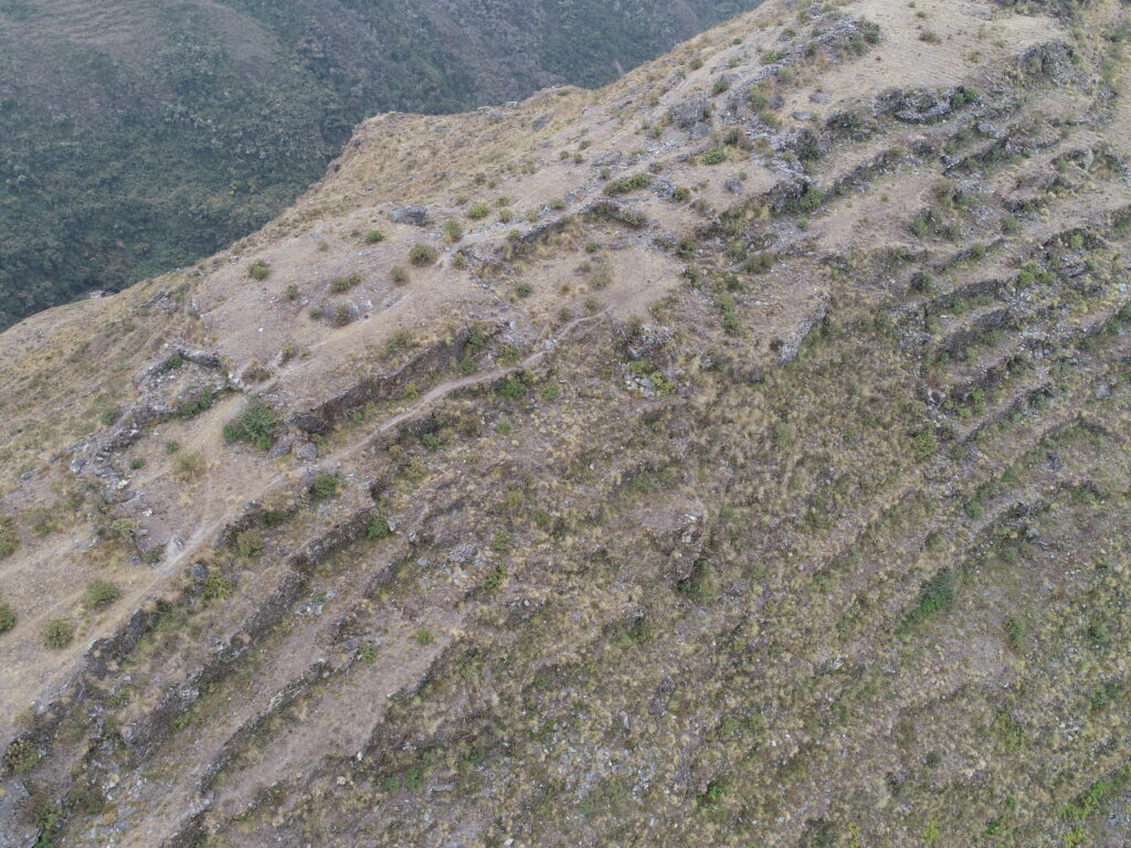 Vuelo de dron para DAS